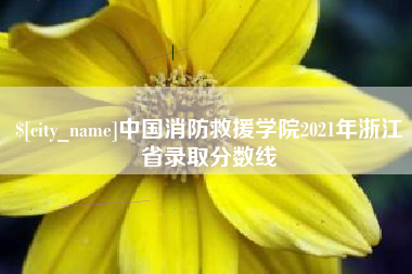 溧阳中国消防救援学院2021年浙江省录取分数线
