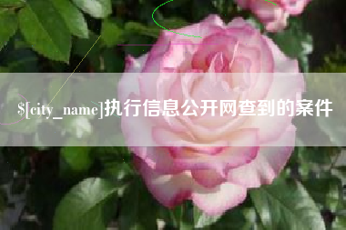溧阳执行信息公开网查到的案件