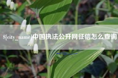 溧阳中国执法公开网征信怎么查询