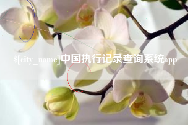 溧阳中国执行记录查询系统app