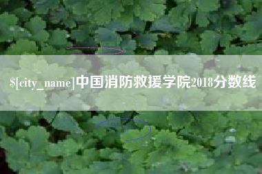 溧阳中国消防救援学院2018分数线