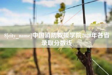 溧阳中国消防救援学院2020年各省录取分数线
