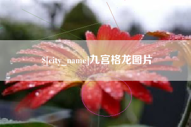 溧阳九宫格龙图片