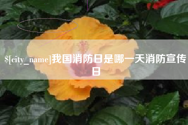 溧阳我国消防日是哪一天消防宣传日