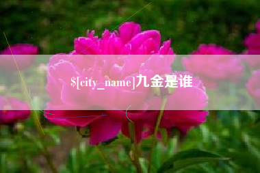 溧阳九金是谁