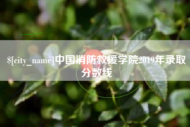 溧阳中国消防救援学院2019年录取分数线