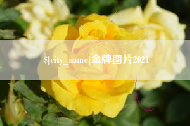 溧阳金牌图片2021