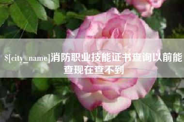 溧阳消防职业技能证书查询以前能查现在查不到