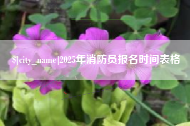 溧阳2025年消防员报名时间表格