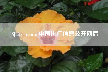 溧阳中国执行信息公开网后