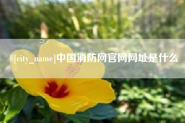 溧阳中国消防网官网网址是什么