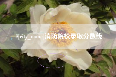溧阳消防院校录取分数线