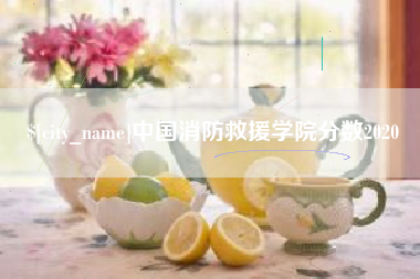 溧阳中国消防救援学院分数2020