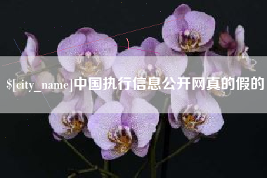 溧阳中国执行信息公开网真的假的