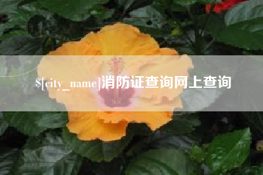 溧阳消防证查询网上查询