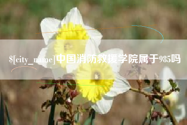 溧阳中国消防救援学院属于985吗