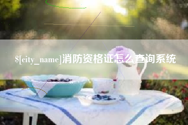 溧阳消防资格证怎么查询系统