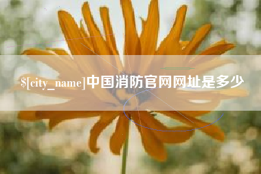 溧阳中国消防官网网址是多少