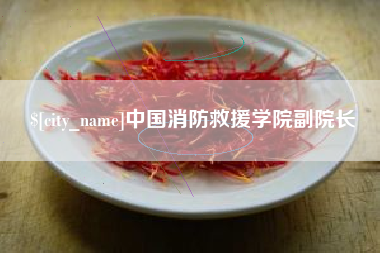 溧阳中国消防救援学院副院长