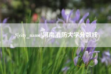溧阳河南消防大学分数线