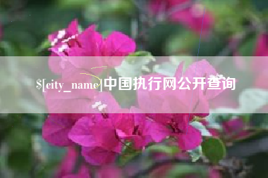 溧阳中国执行网公开查询
