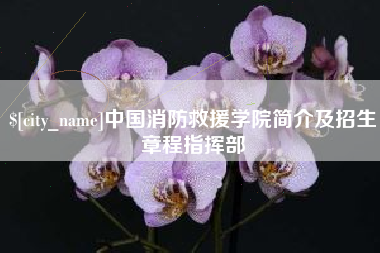溧阳中国消防救援学院简介及招生章程指挥部
