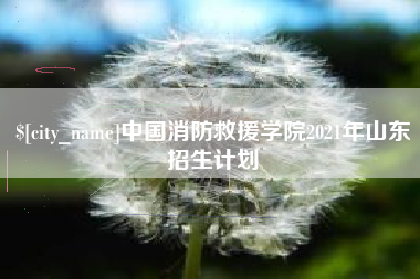 溧阳中国消防救援学院2021年山东招生计划