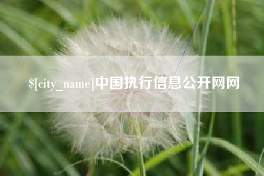 溧阳中国执行信息公开网网