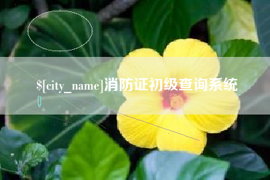 溧阳消防证初级查询系统