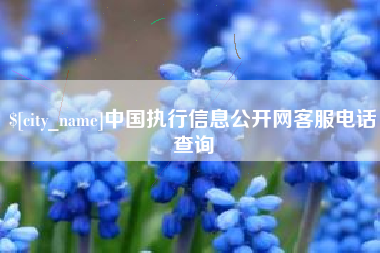 溧阳中国执行信息公开网客服电话查询