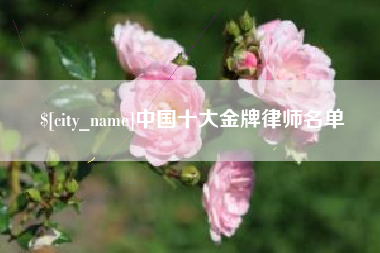 溧阳中国十大金牌律师名单