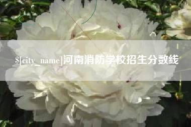 溧阳河南消防学校招生分数线