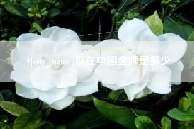 溧阳现在中国金牌是多少