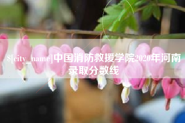 溧阳中国消防救援学院2020年河南录取分数线