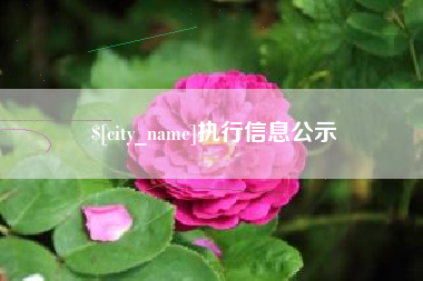 溧阳执行信息公示