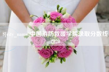 溧阳中国消防救援学院录取分数线2020