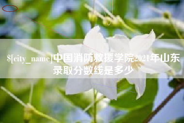 溧阳中国消防救援学院2021年山东录取分数线是多少