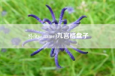 溧阳九宫格盘子