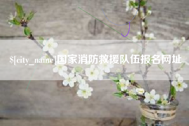 溧阳国家消防救援队伍报名网址