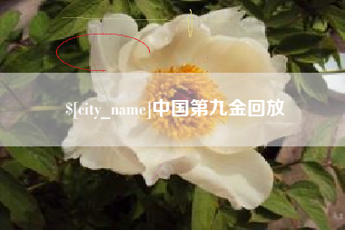 溧阳中国第九金回放