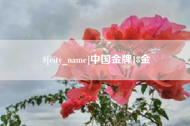 溧阳中国金牌18金