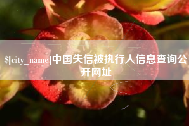 溧阳中国失信被执行人信息查询公开网址