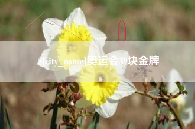 溧阳奥运会39块金牌