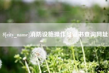 溧阳消防设施操作员证书查询网址