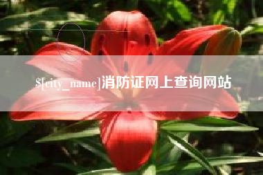 溧阳消防证网上查询网站