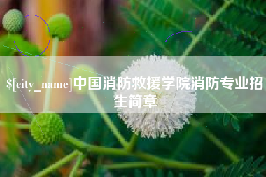 溧阳中国消防救援学院消防专业招生简章