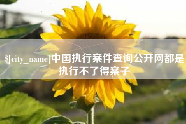 溧阳中国执行案件查询公开网都是执行不了得案子