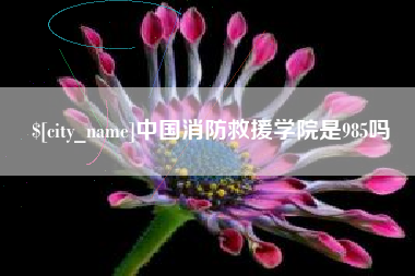 溧阳中国消防救援学院是985吗