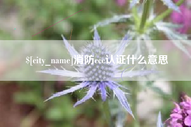 溧阳消防ccc认证什么意思