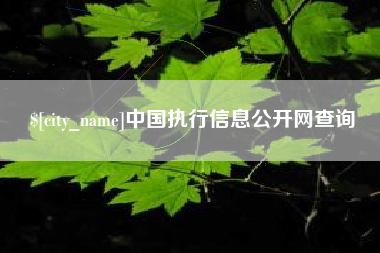 溧阳中国执行信息公开网查询
